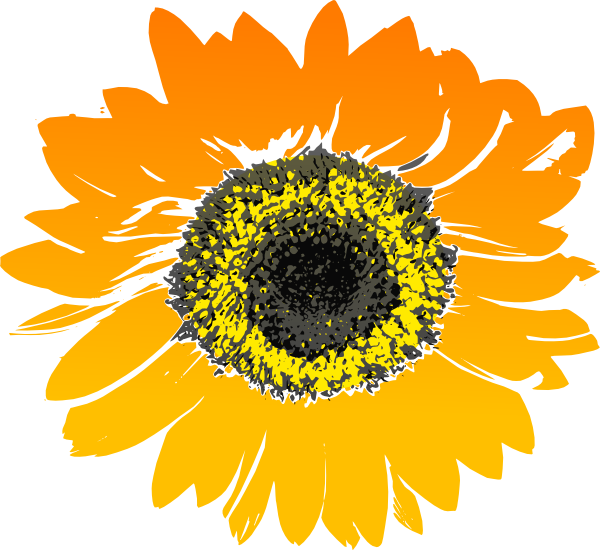 Download Tilted Sunflower Clip Art at Clker.com - vector clip art ...