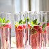 Christmas Champagne Drinks : Five Awesome Christmas Drinks to Get You Through Dinner ... / We did not find results for:
