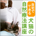 GREEN DOG　ホリスティックケア・カウンセラー養成講座