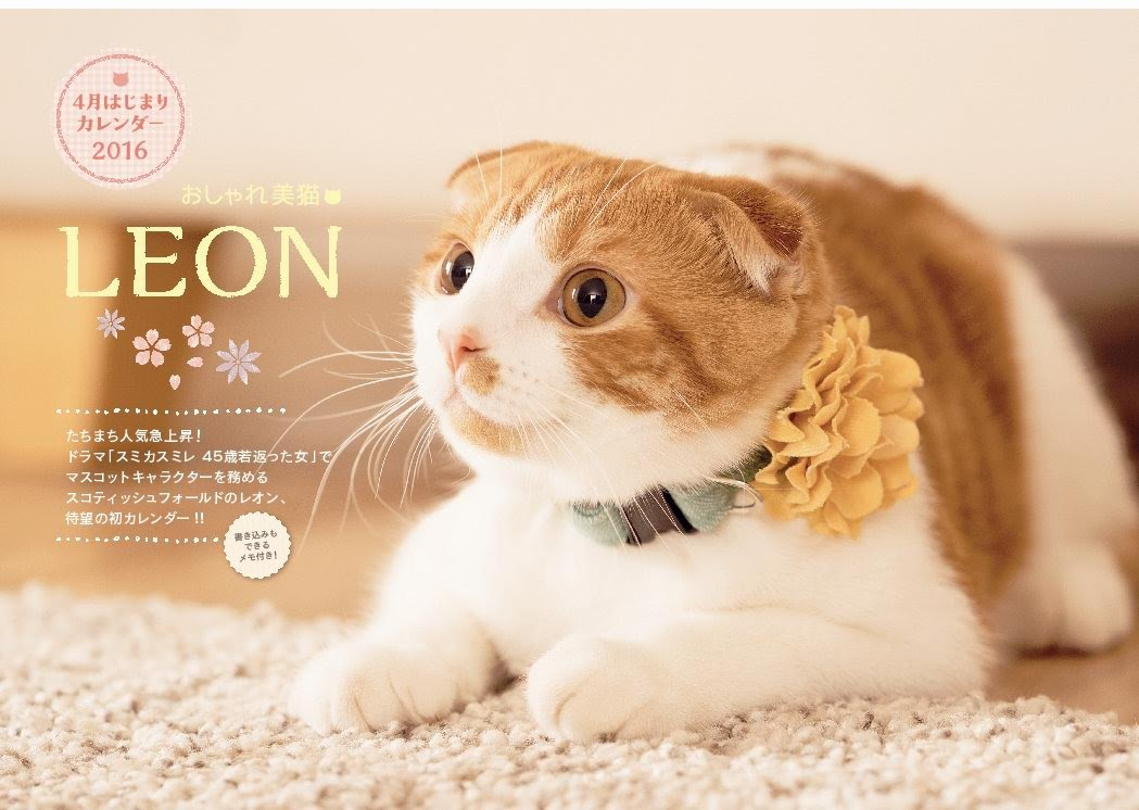 撮影を担当しました おしゃれ美猫leon レオン 4月はじまりカレンダー16 Sakuraquiet Photo Cattery