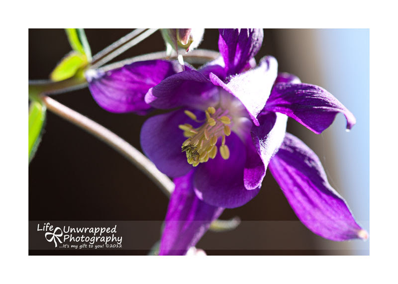 May 12 2012_0031ew