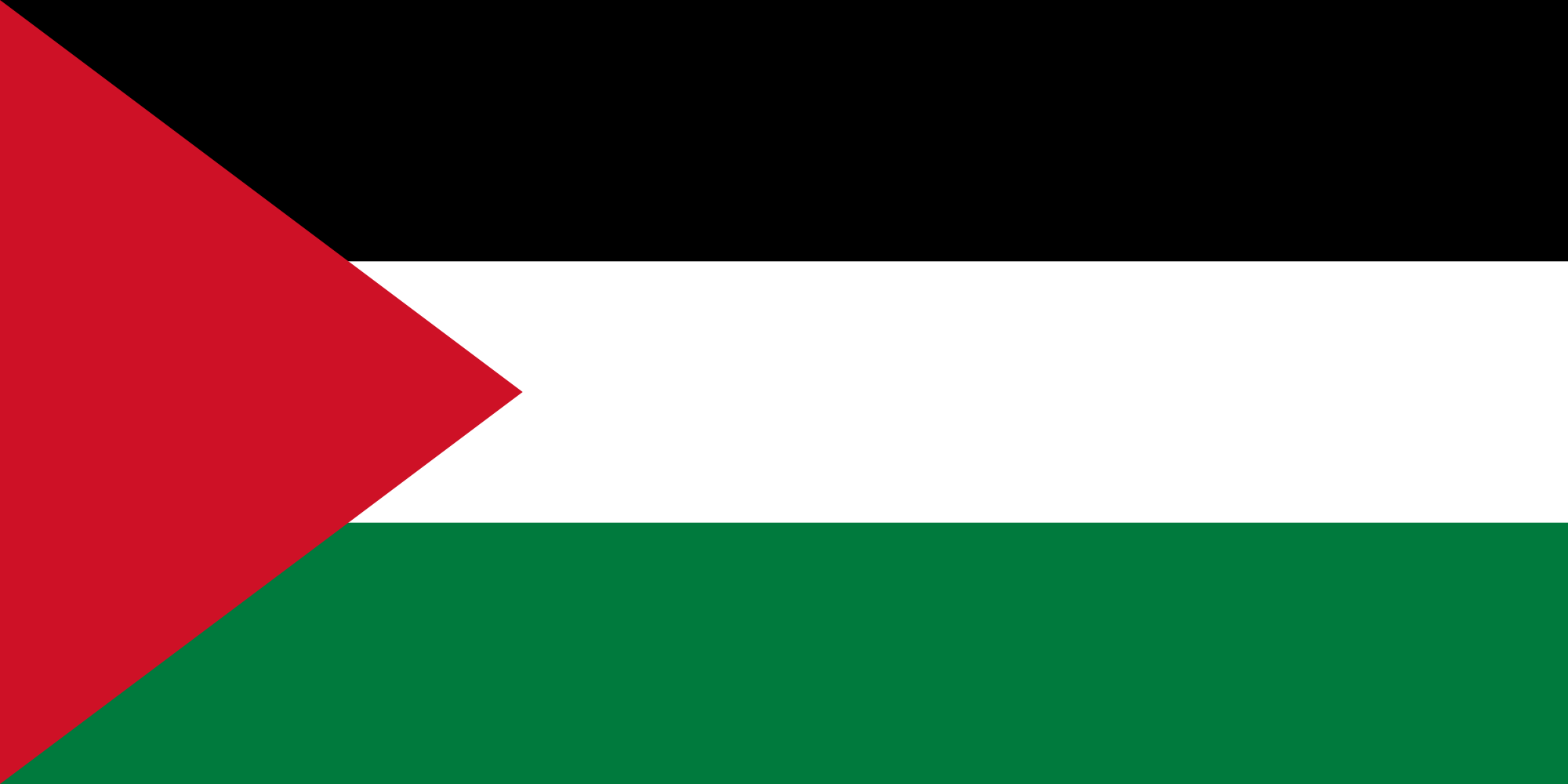 سفارة دولة فلسطين | العلم الفلسطيني