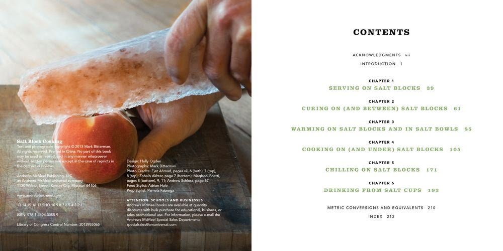 Salt Block Cooking: 70 Recipes for Grilling, Chilling, Searing ...