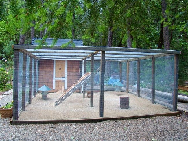 love the large run. | Chicken Coops and the Inhabitants ...