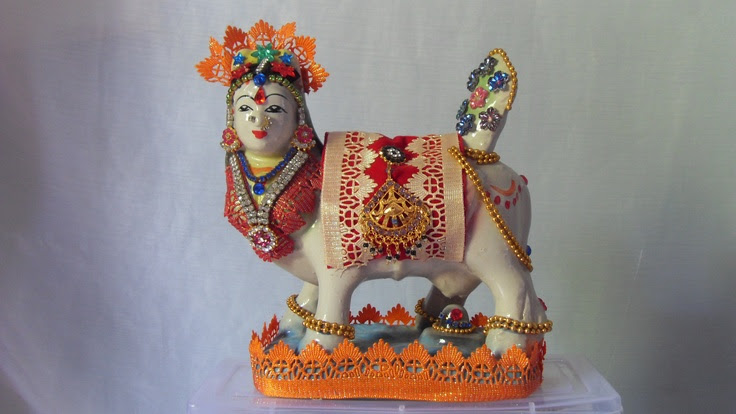photo image