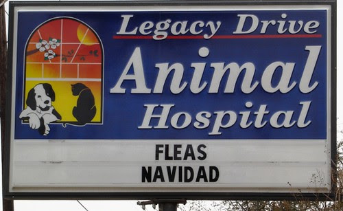 fleasnavidad