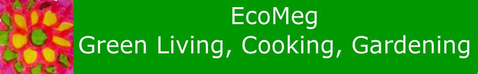 EcoMeg