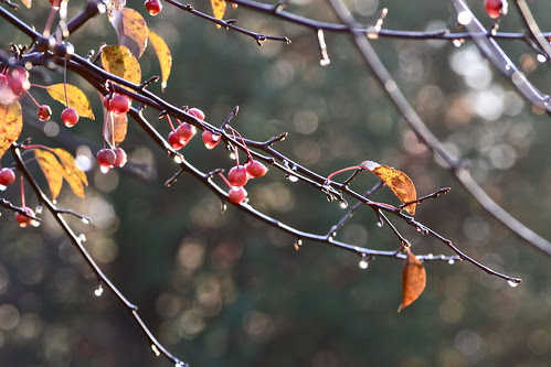 DSC_1346