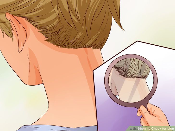 Check for Lice Step 18.jpg
