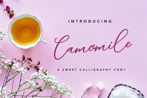 Download SVG Vector Sans Serif Fonts Free 2021 Camomile ScriptScript create your own DIY projects using your Cricut Explore, Silhouette Cameo and more.