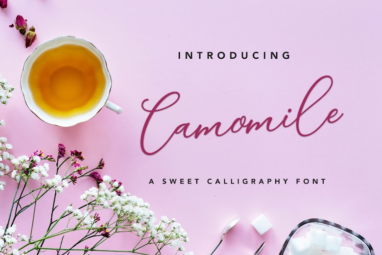 Files for download Sans Serif Fonts Free 2021 Camomile ScriptScript is an awesome source for free SVG files