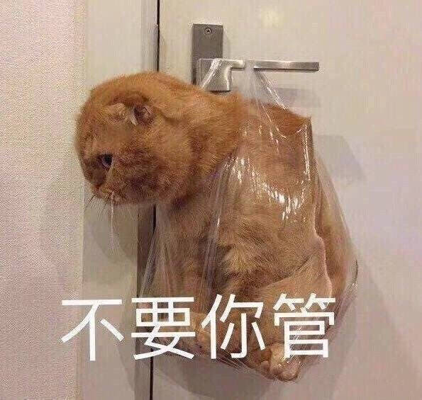 猫子表掐脖情包表情日打招情语表的包呼表情 表情包之园