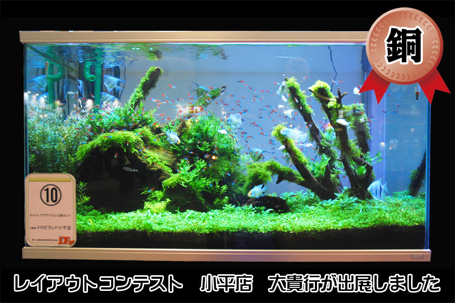 ペットフェアレイアウトコンテスト 熱帯魚トロピランド