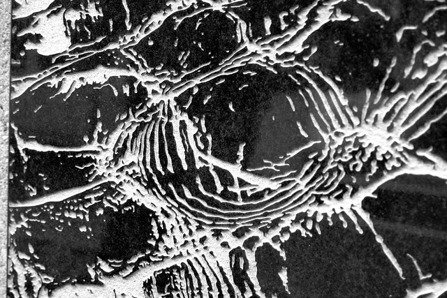 Patterns May be an Action, or the Trace Left by an Action