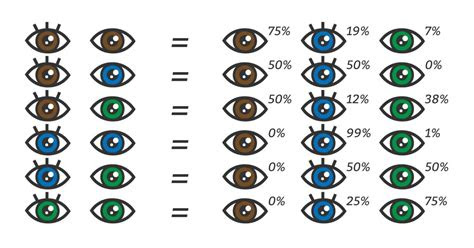  eye color chart what color eyes will my baby have baby eye color