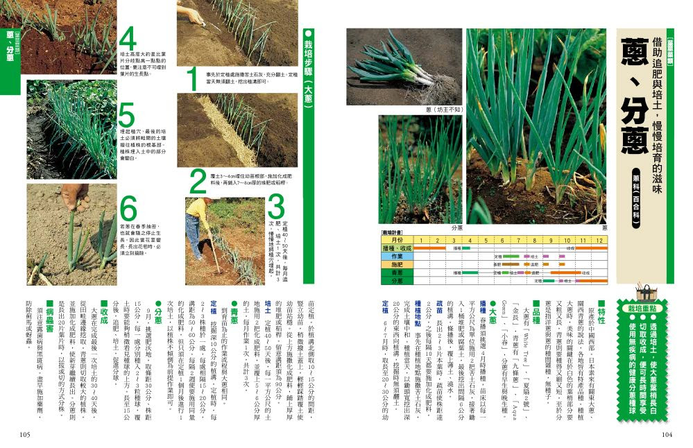 出版品資訊 新手種菜100招 自己種出70種家常菜 楓書坊文化出版社