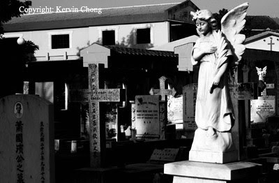 Angel-BW