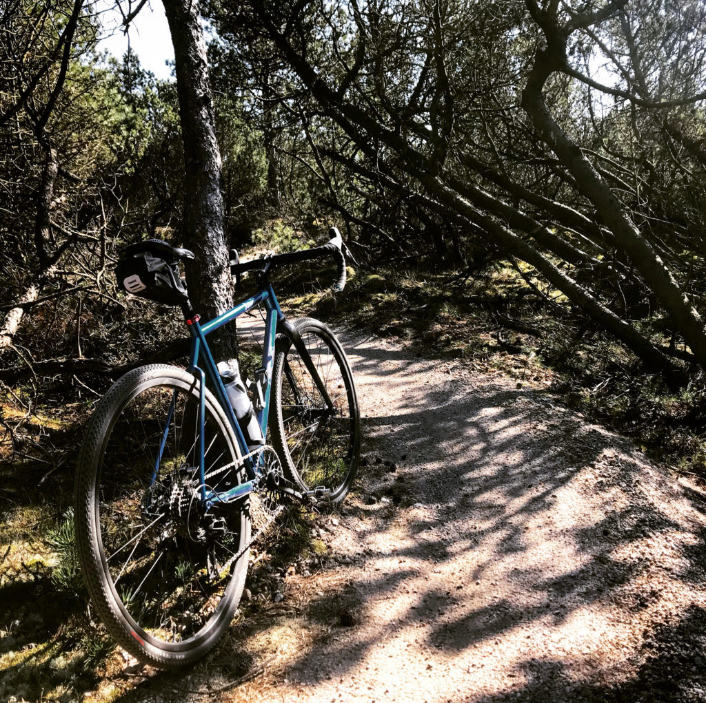 20+ Tubeless Mountain Bike Tires