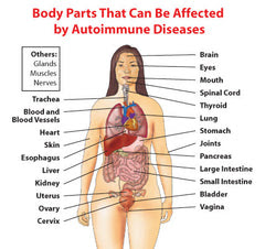 The Thyroid Affects So Many Parts Of The Body ...