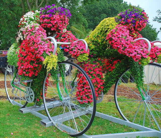 Flower Bikes