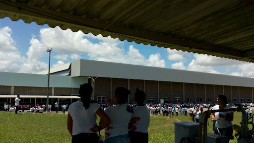 Imagem