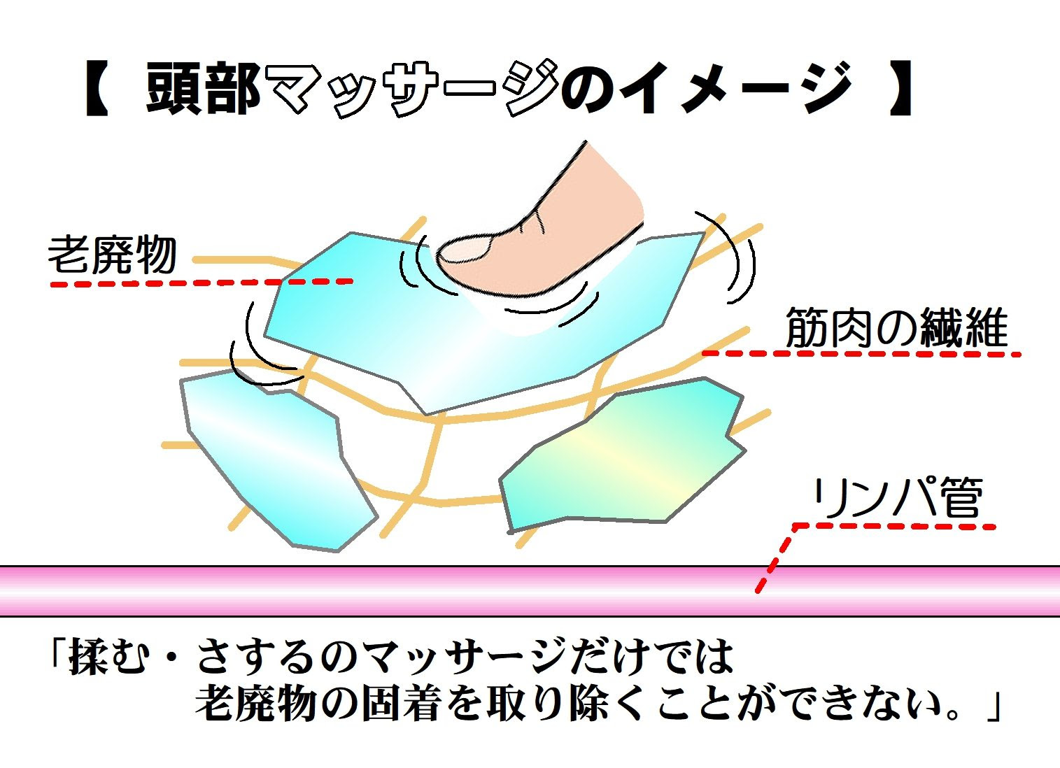 頭部リンパほぐし と マッサージ の違い 髪と頭皮を育むケアサロン J Walk 世田谷区梅ヶ丘