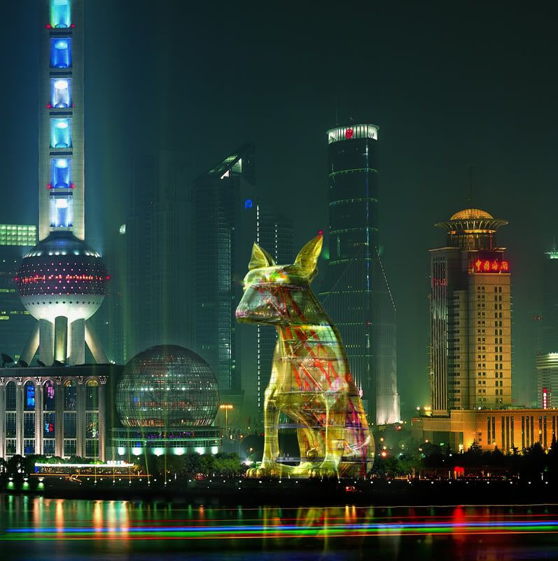 chien tour shanghai chine