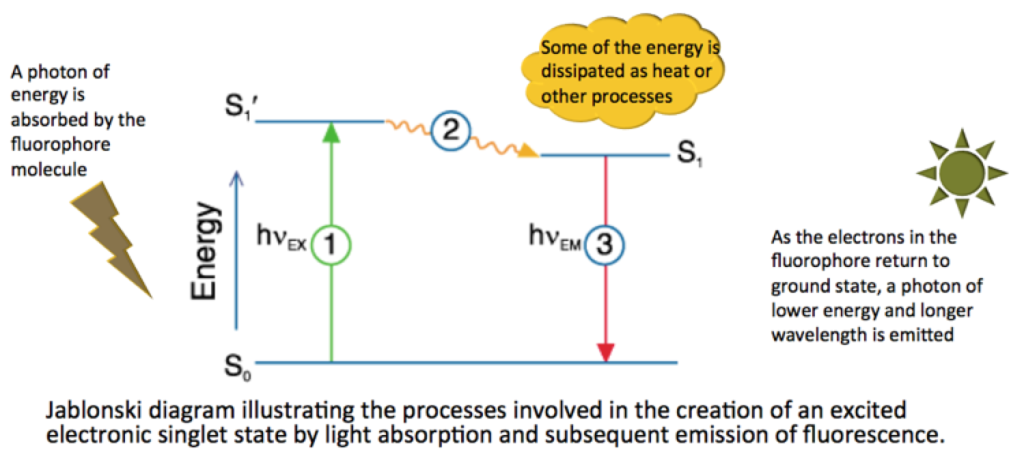 Flow Cytometry Terms And Definitions | Expert Cytometry | flow cytometry meanings