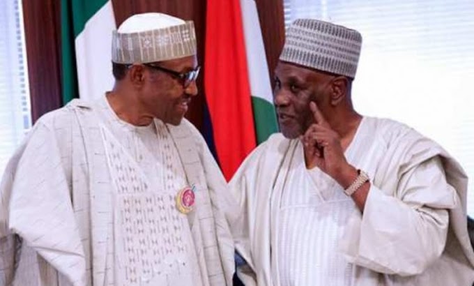 Buhari Gives Fresh Appointment To 75-year-old Babagana Kingibe