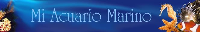 Mi acuario marino