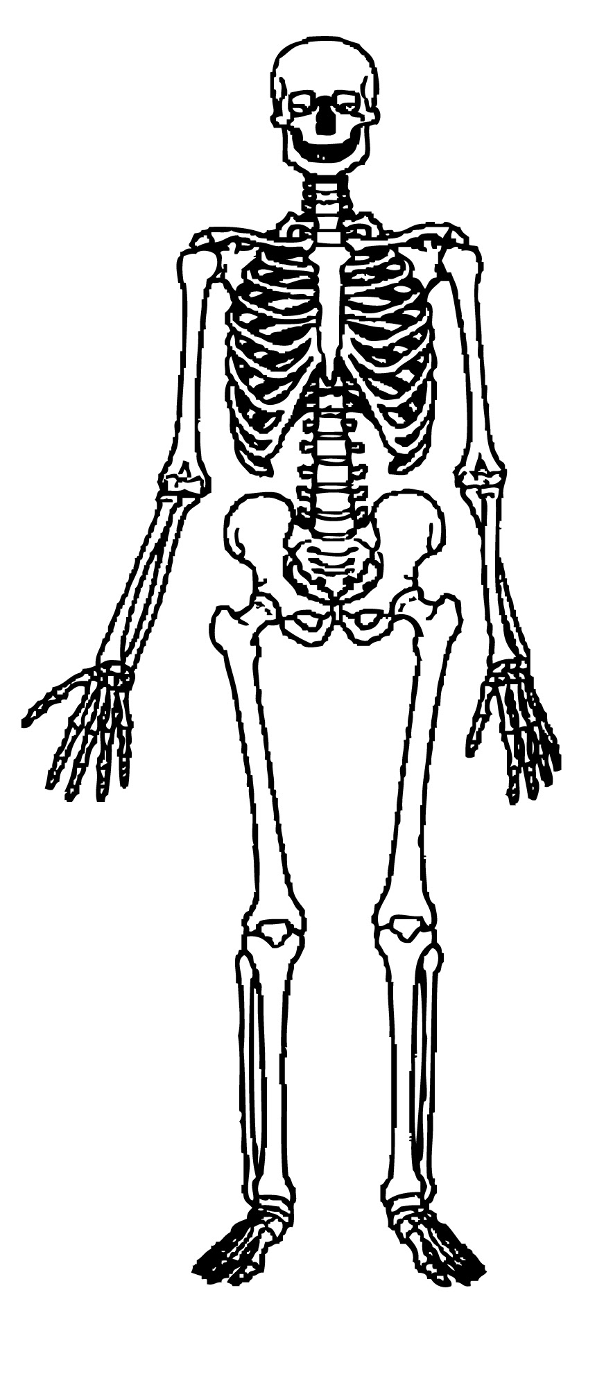 grade 5 science worksheets human body clip art library
