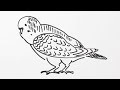 画像 インコ イラスト 書き方 290630-インコ イラスト 書き方