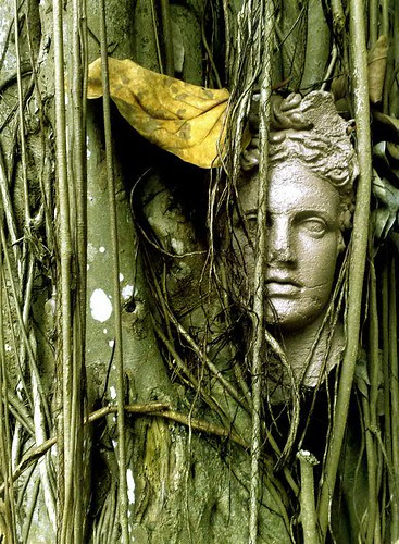 The Kampong ficus tree sculpture