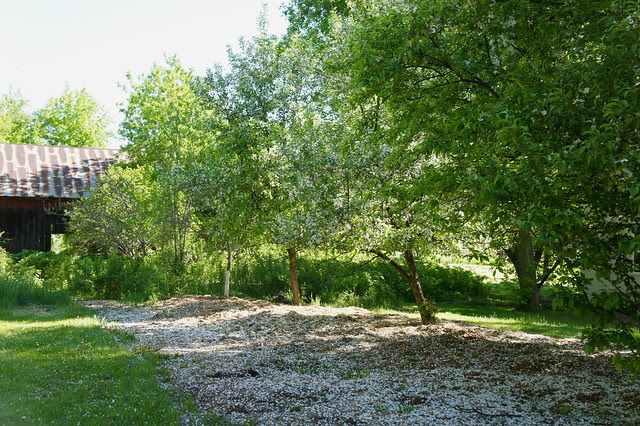 DSC06922