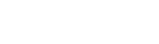 الخدمات الإحترافية 