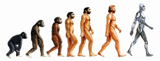Human Evolution