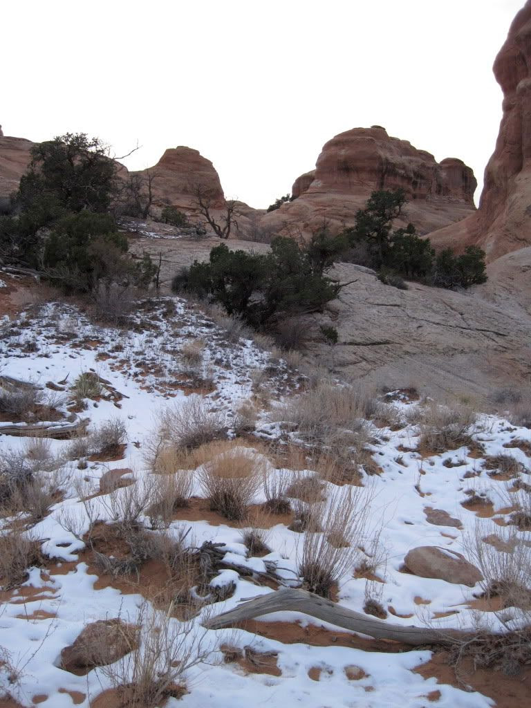 snowy desert