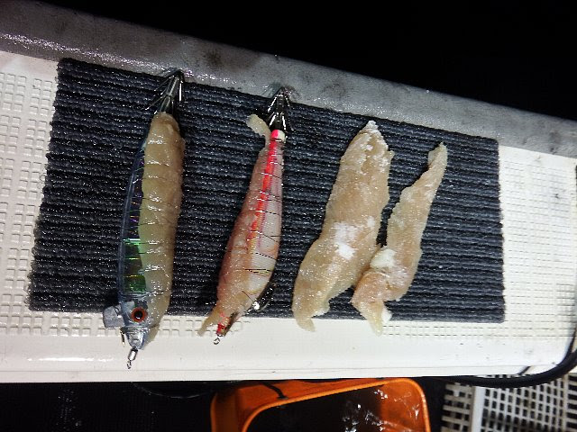 イカ釣り 型を狙うならエサ巻きですぞ Fishon ブログ