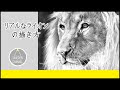 √無料でダウンロード！ ライオン かっこいい イラスト 291339-かっこいい リアル ライオン イラスト