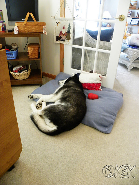 DSCN1097 Dave working in the Studio