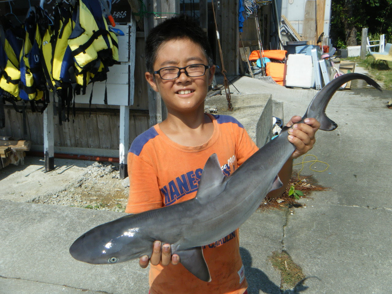 サメを釣りました 陸の孤島ブログ 池田家の日記 ふね家