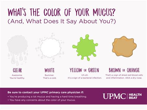 Green mucus is an indication that your body is fighting off a more serious infection. phlegm color meaning