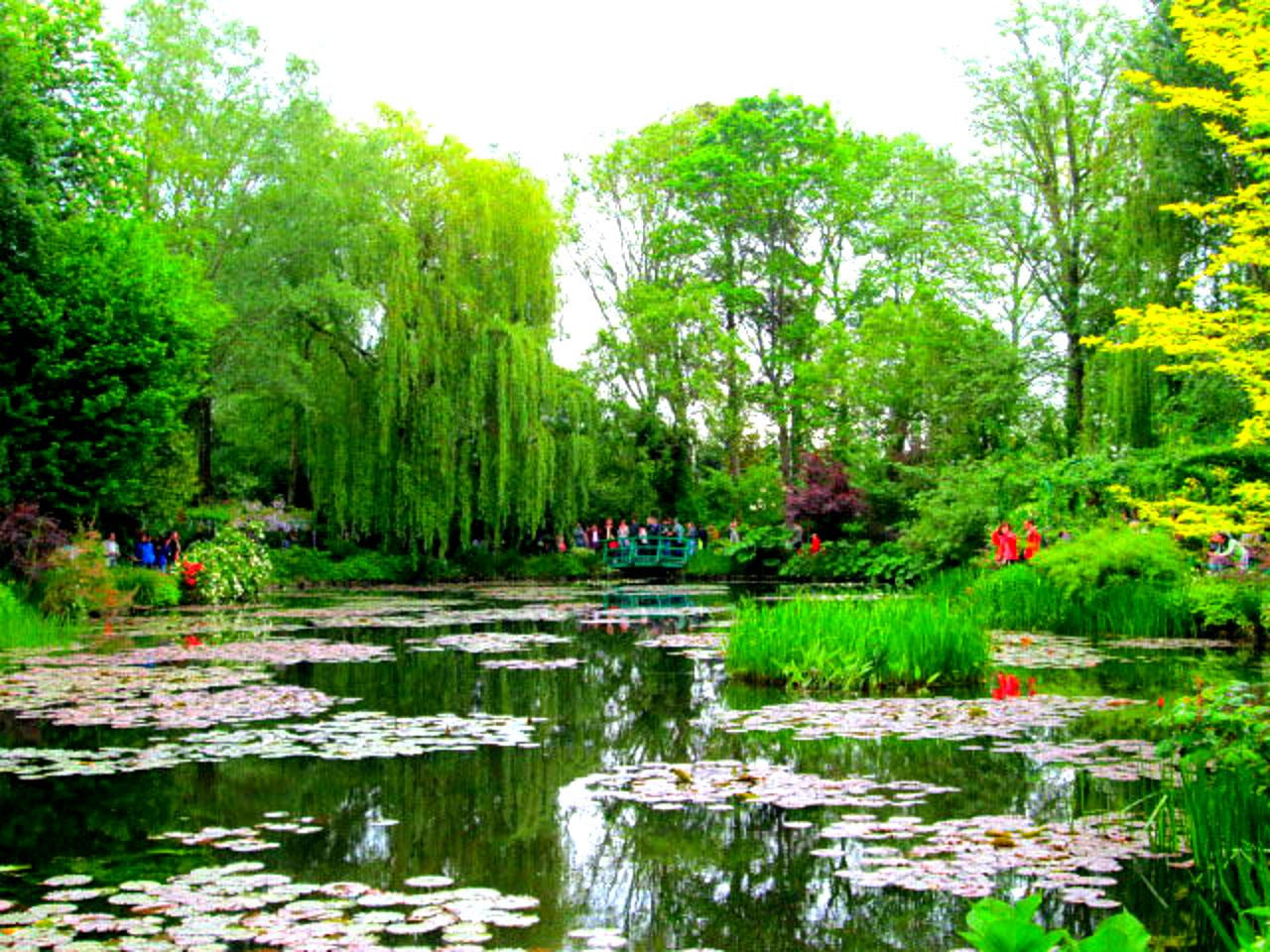 睡蓮 の風景が目の前に 印象派モネが愛したジヴェルニー モネの庭 フランス トラベルjp 旅行ガイド