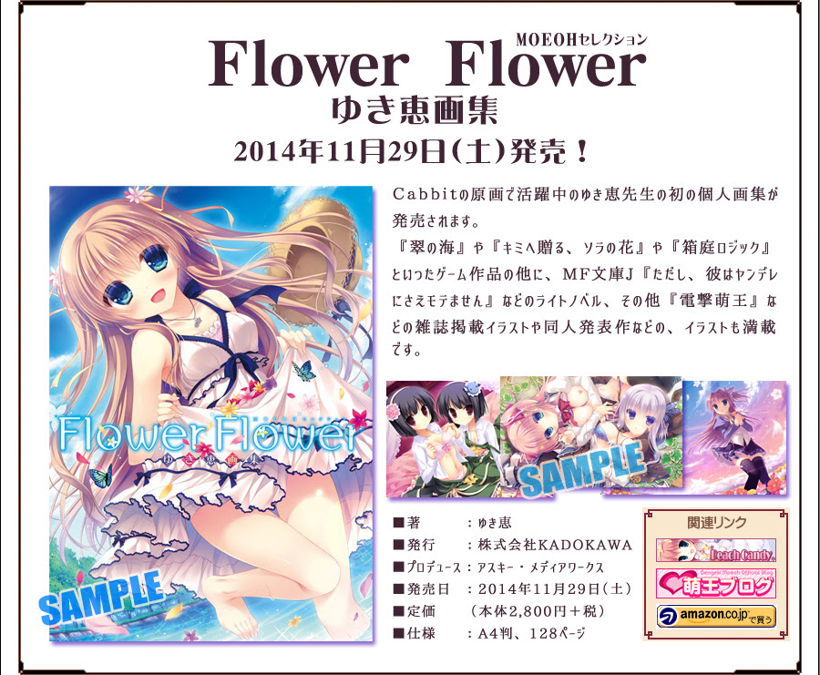 Cabbit 箱庭ロジック サイトページ ｍｏｅｏｈセレクション ｆｌｏｗｅｒ ｆｌｏｗｅｒ ゆき恵画集