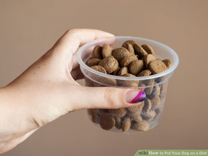 Put Your Dog on a Diet Step 1.jpg