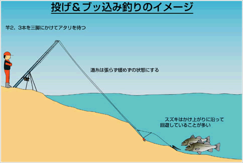 釣りテクニック ハネ スズキでの釣り方 尼エサ Com 尼崎港 鳴尾浜 甲子園浜 西宮浜の近くにある 1965年創業の釣りエサ屋