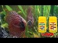 √1000以上 熱帯魚 餌やり 回数 438994-熱帯魚 餌やり 回数