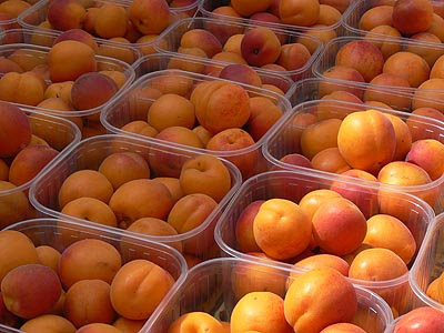 abricots.jpg