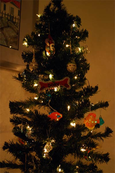 Dory-on-the-Tree