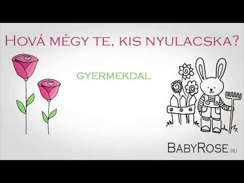 Kép
